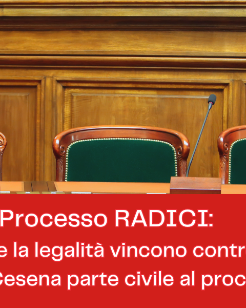 processo radici