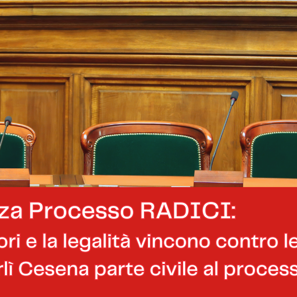 processo radici